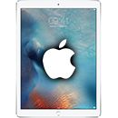 Apple iPad Repair Image in Tablet Repair Category | Boynton Beach